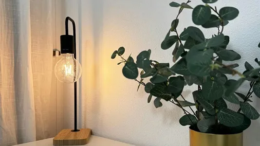 Rooms in Madrid Salamanca - photo 7