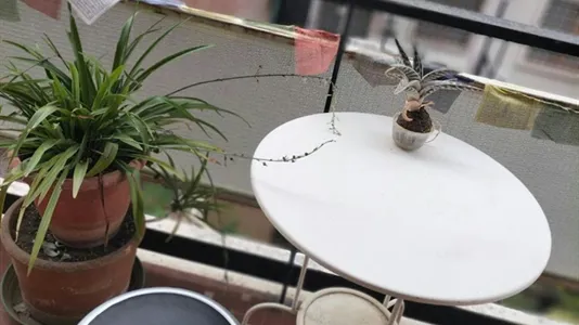 Rooms in Roma Municipio XII – Monte Verde - photo 10