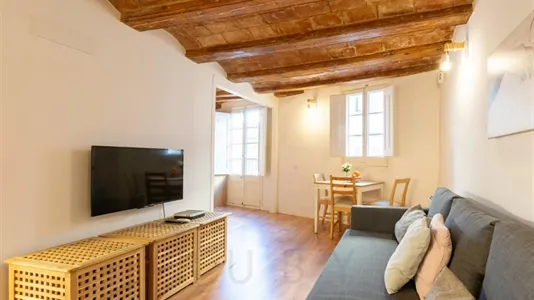 Apartments in Barcelona Ciutat Vella - photo 6