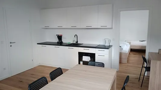 Apartments in Krems an der Donau - photo 10