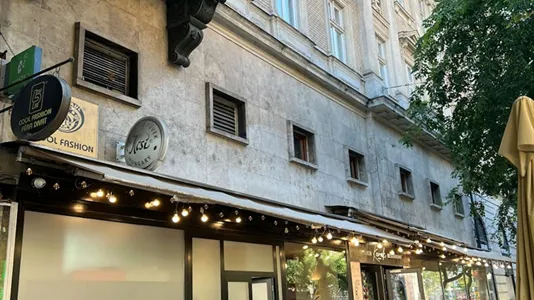 Apartments in Budapest Terézváros - photo 9