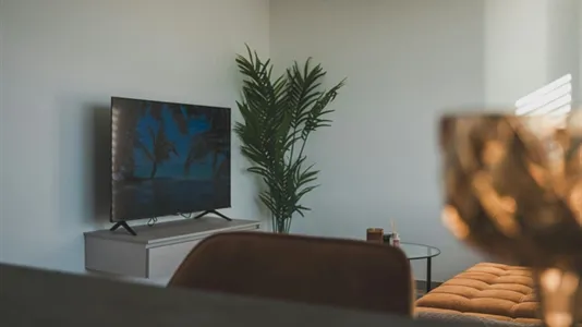 Apartments in Main-Taunus-Kreis - photo 4