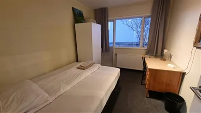Room for rent in Reykjavík Hlíðar, Reykjavík