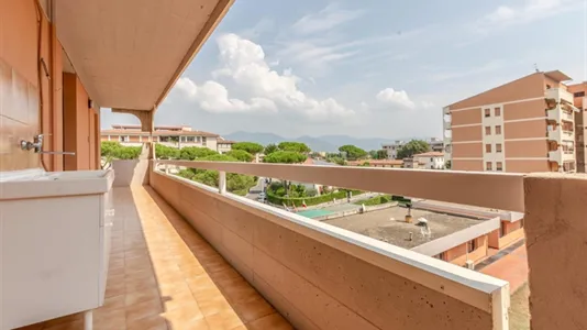 Rooms in Pisa - photo 7