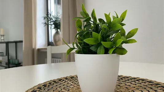 Apartments in Rhein-Sieg-Kreis - photo 6