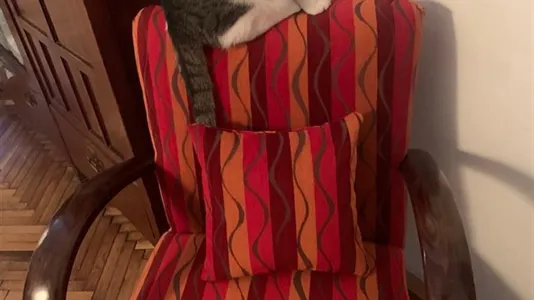 Rooms in Vienna Landstraße - photo 8