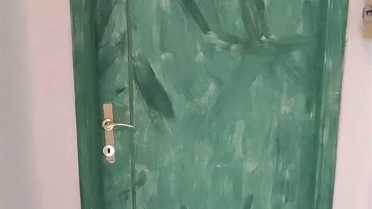 Rooms in Pisa - photo 4