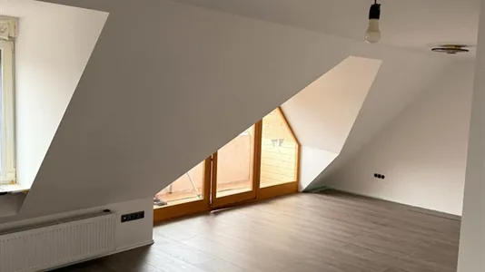 Apartments in Amberg-Sulzbach - photo 3