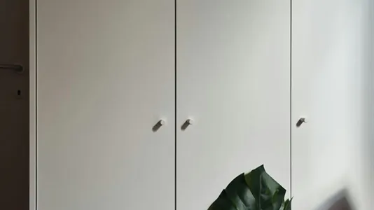 Rooms in Bologna - photo 10