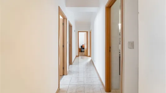 Rooms in Braga - photo 8