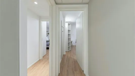 Rooms in Trento - photo 9