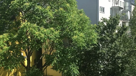 Apartments in Vienna Floridsdorf - photo 6