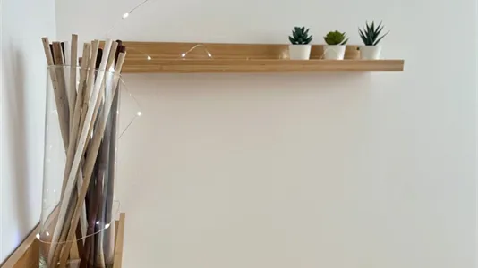 Rooms in Padua - photo 7