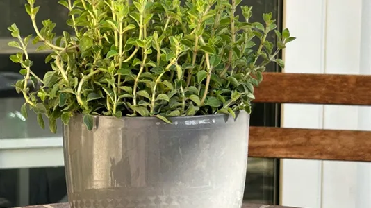 Apartments in Dusseldorf - photo 6