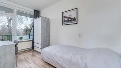 Room for rent in Rotterdam
