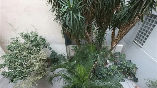 Rooms in Athens Akadimia Platonos - photo 3