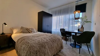 Room for rent in Rotterdam