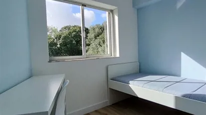 Room for rent in Lisbon (region)