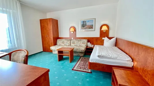 Apartments in Offenbach am Main - photo 4