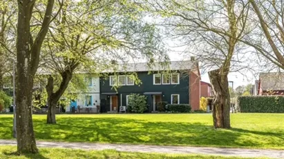 Oxie - 4rok - tillsv - 17.250kr/mån