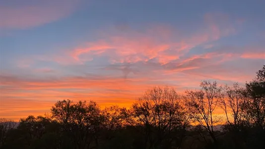 Apartments in Rignano Flaminio - photo 7