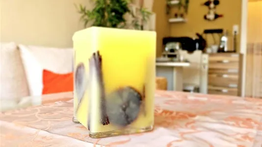 Apartments in Perchtoldsdorf - photo 3