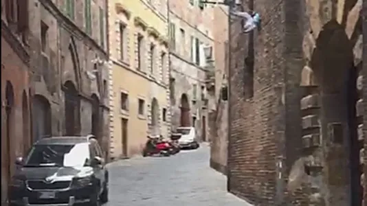 Rooms in Siena - photo 6