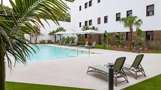 Rooms in Murcia - photo 6