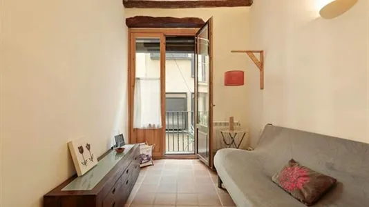 Apartments in Barcelona Ciutat Vella - photo 4