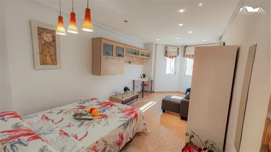 Rooms in Elche/Elx - photo 4
