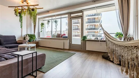 Apartments in Zandvoort - photo 6