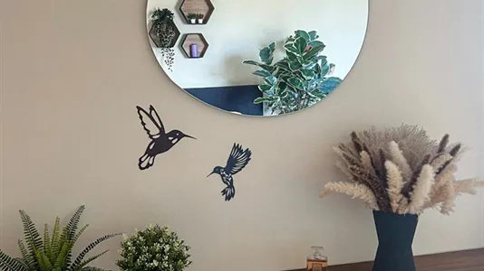 Apartments in Wien Ottakring - photo 5