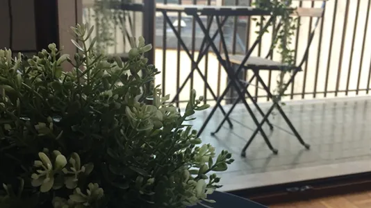 Rooms in Milano Zona 3 - Porta Venezia, Città Studi, Lambrate - photo 5