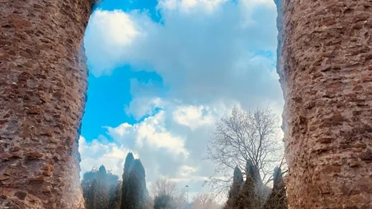 Rooms in Roma Municipio V – Prenestino/Centocelle - photo 9