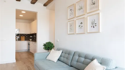 Apartments in Barcelona Ciutat Vella - photo 10