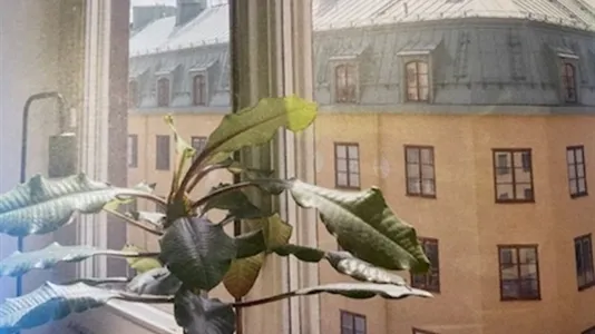 Apartments in Södermalm - photo 3