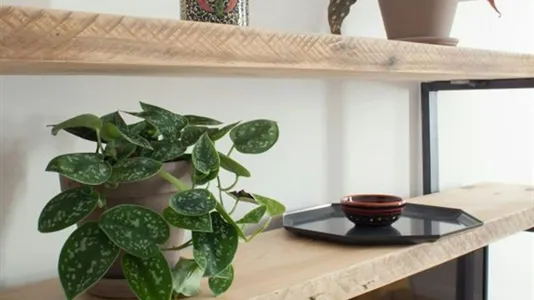 Apartments in Berlin Friedrichshain-Kreuzberg - photo 3