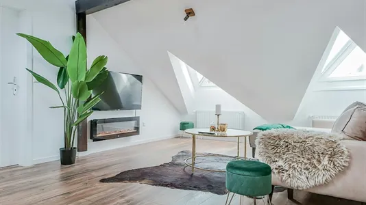 Apartments in Braunschweig - photo 8