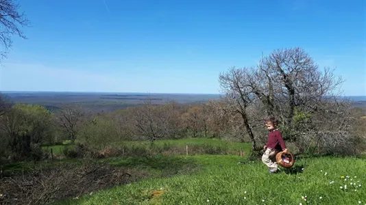 Houses in Albi - photo 9
