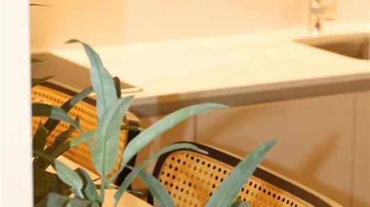 Rooms in Guimarães - photo 6