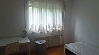 Room for rent in Besnica, Osrednjeslovenska