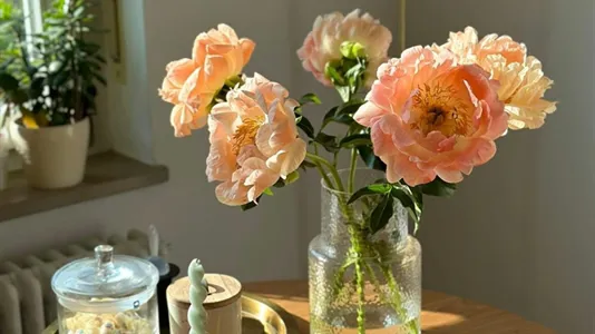 Rooms in Location is not specified - photo 1