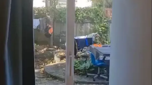 Rooms in Almere - photo 7