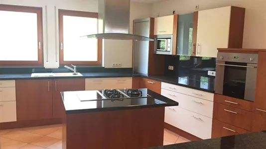 Apartments in Bernkastel-Wittlich - photo 5