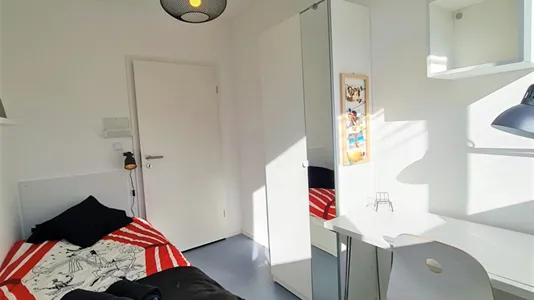 Rooms in Bonn - photo 4