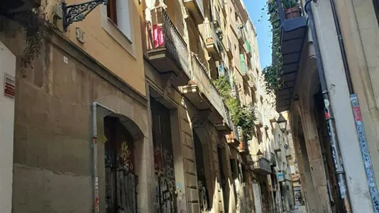 Apartments in Barcelona Ciutat Vella - photo 9