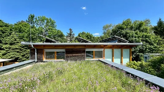 Rooms in Maria Enzersdorf - photo 10