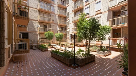 Apartments in Sevilla Casco Antiguo - photo 5