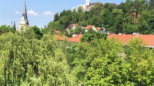 Apartments in Besnica - photo 10
