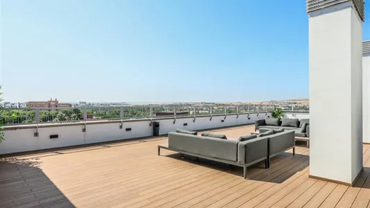 Apartments in Salamanca - photo 8